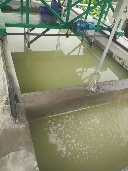 食品废水臭味治理 除臭剂的应用与综合治理策略