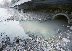 浅谈市政污水处理技术 从污水到清水的净化之路